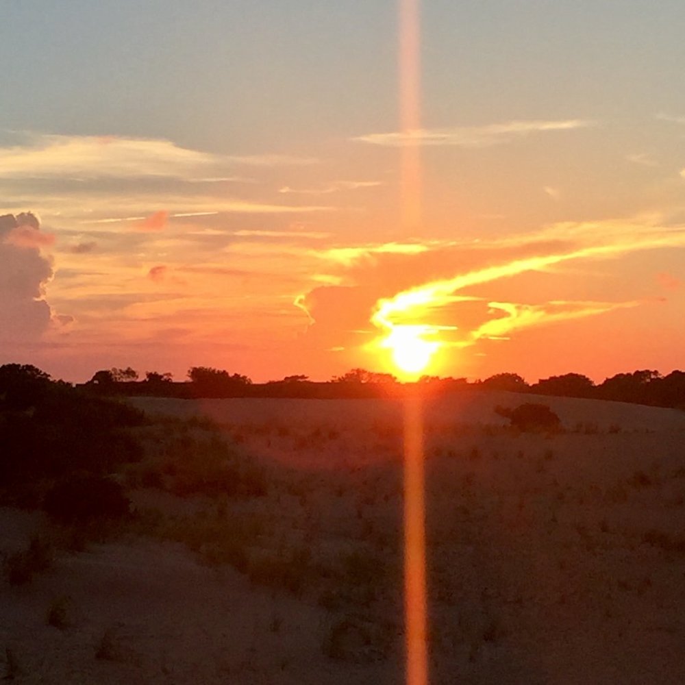 Meet your Posher, TP!